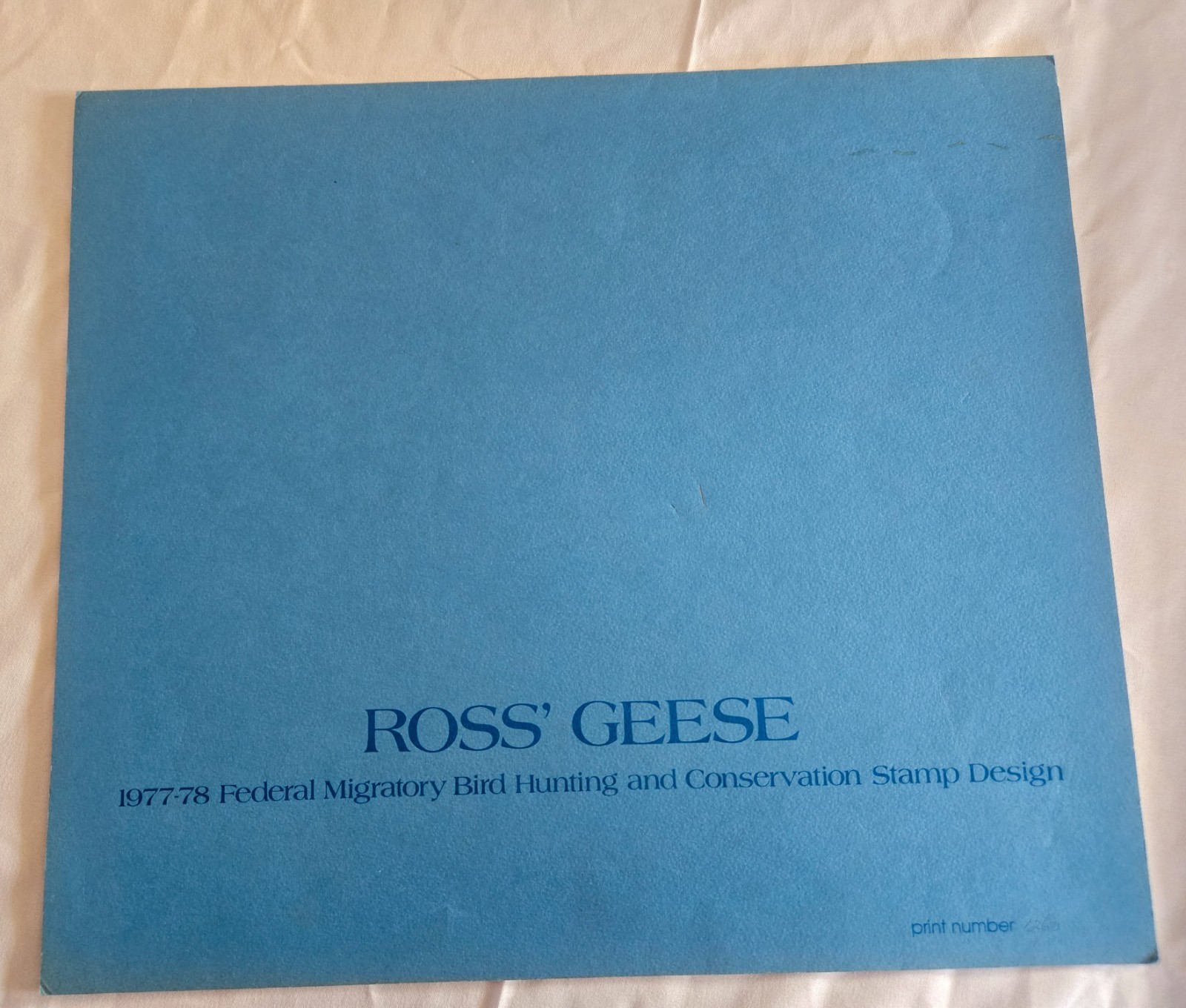 RARE-1977 (RW44)- Federal Duck Stamp Print *Martin Murk* Remarqued