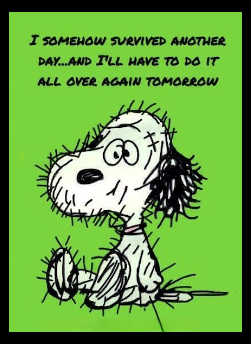 I Somehow Survived Another Day...Have To Do It Again Snoopy Refrigerator MAGNET