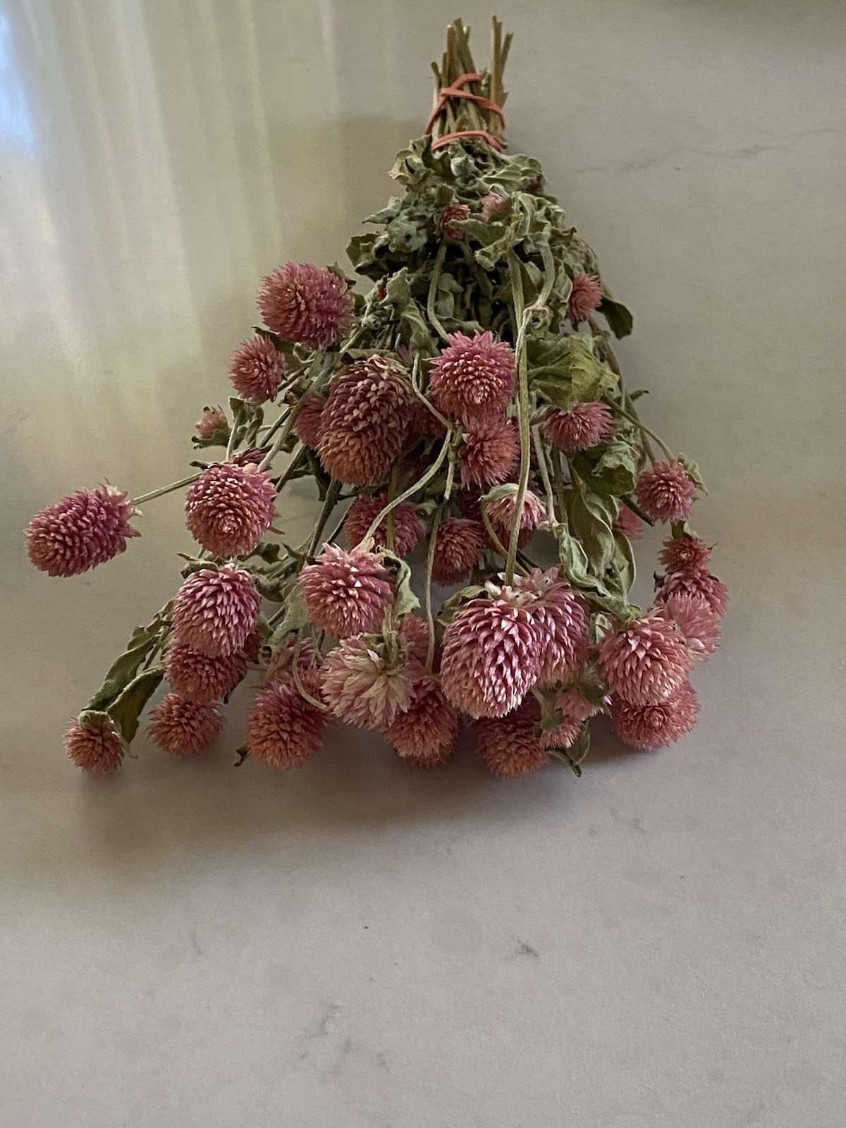 PINK Dried GLOBE AMARANTH Bunch BOUQUET Bundle DRIED FLOWERS Auc#2