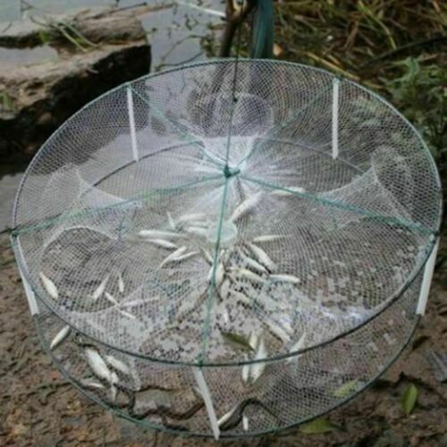 Foldable Fishing Bait Trap Crab Net Crawdad Shrimp Cast Dip Cage Fish Minnow US!