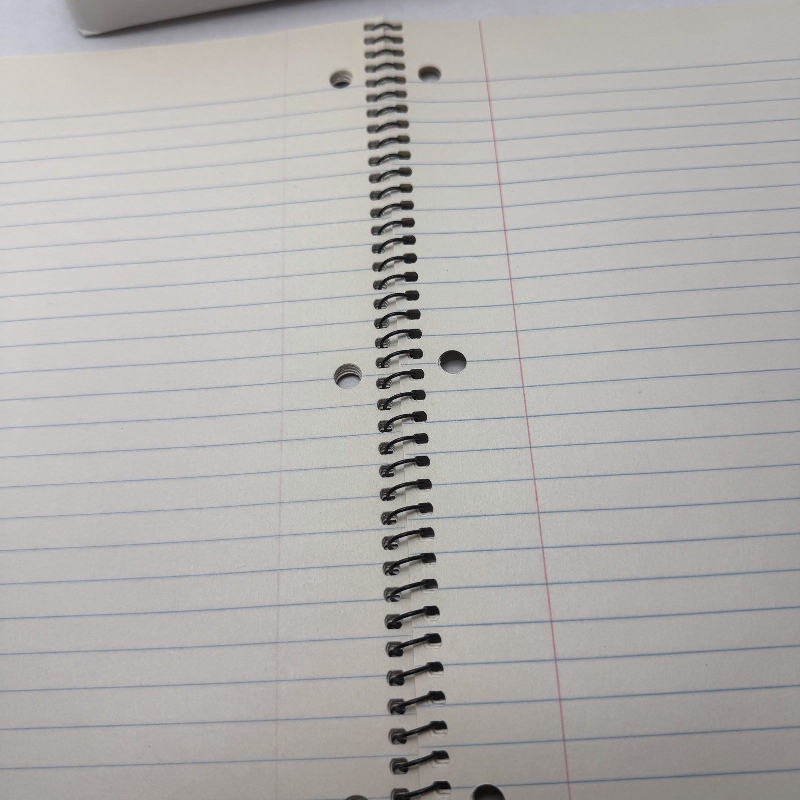 Vintage Lisa Frank STANDARD Spiral Notebook . Blanca SWAN Rainbow