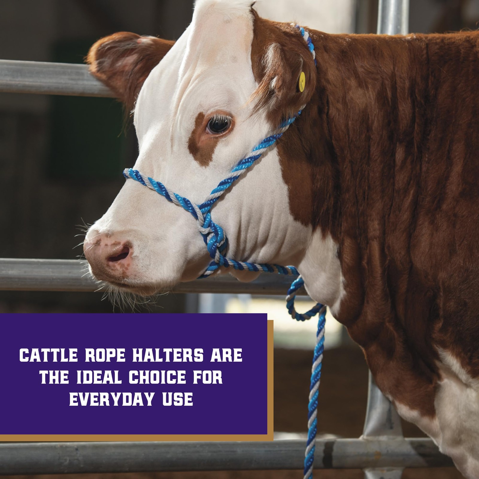 Braided Poly Rope Cattle Halter, Adjustable Cow Calf Halter, Livestock Handli