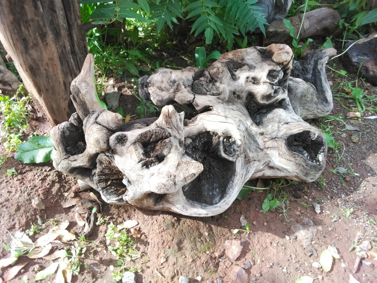 DrRIFTWOOD, LANDSCAPING, ART, AMAZING