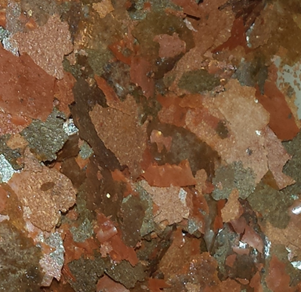 Anti-Parasite Quad-F Flake – Deworming – Freshwater & Saltwater