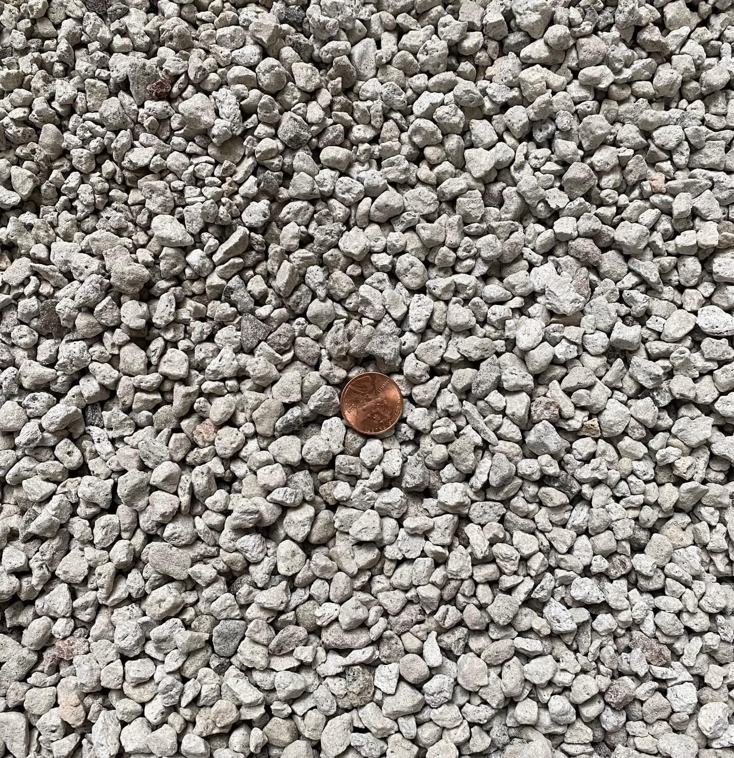 11 Gallons 3/8" Horticultural Pumice Rock Soil Amendment Succulents Cacti Bonsai