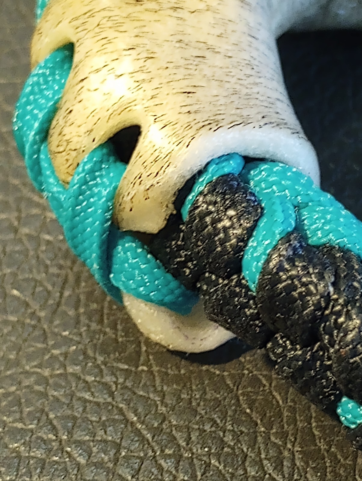 TURQUOISE n BLACK 10 Plait Pryor ParaCord Hondo w/ Bull Rawhide Burner Buckaroo