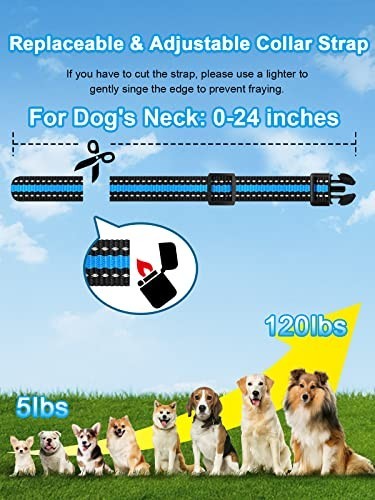 Rechargeable Waterproof Dog Shock Collar for 2 Dogs, 3300ft Range, Beep/Vibratio