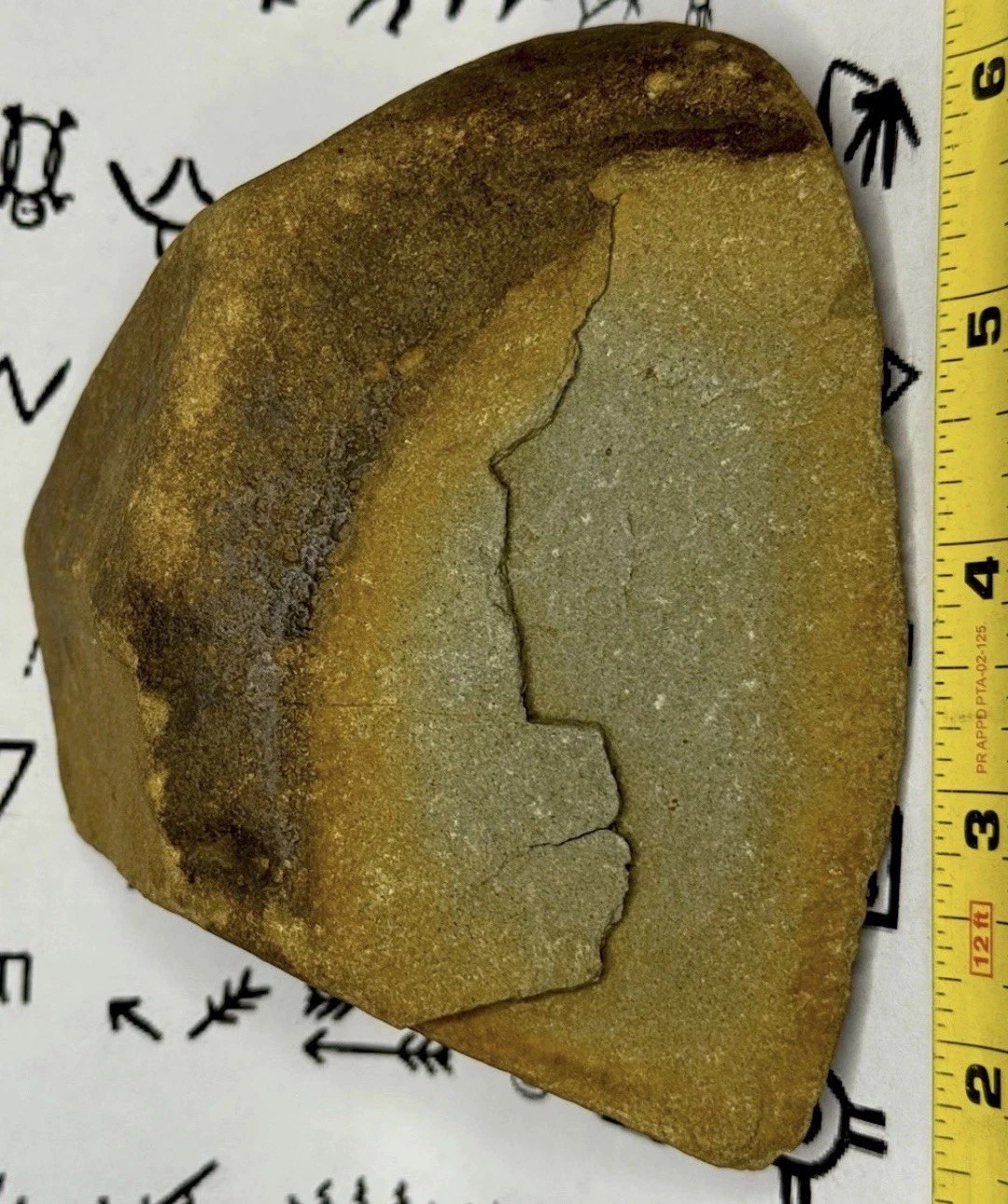 Native American Indian Authentic Artifact Stone Carved Effigy, 2 lb 12 oz • VA