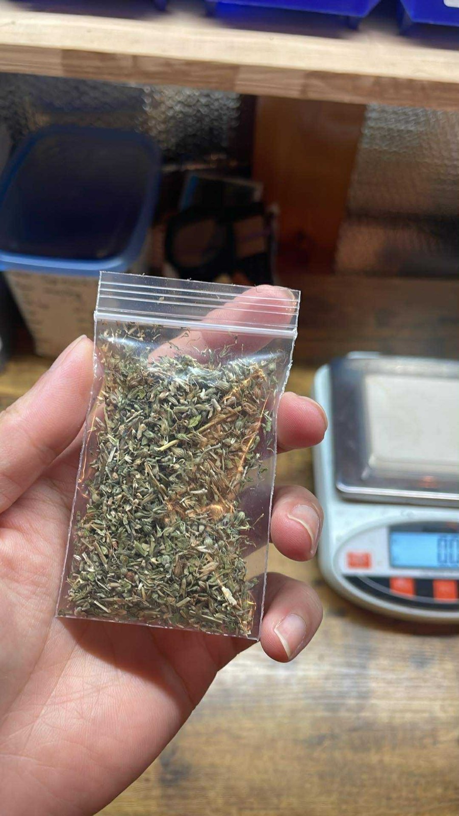 100% Premium Catnip – 1 oz to 25 lb – Natural Cat Treats for Happy, Playful Cat