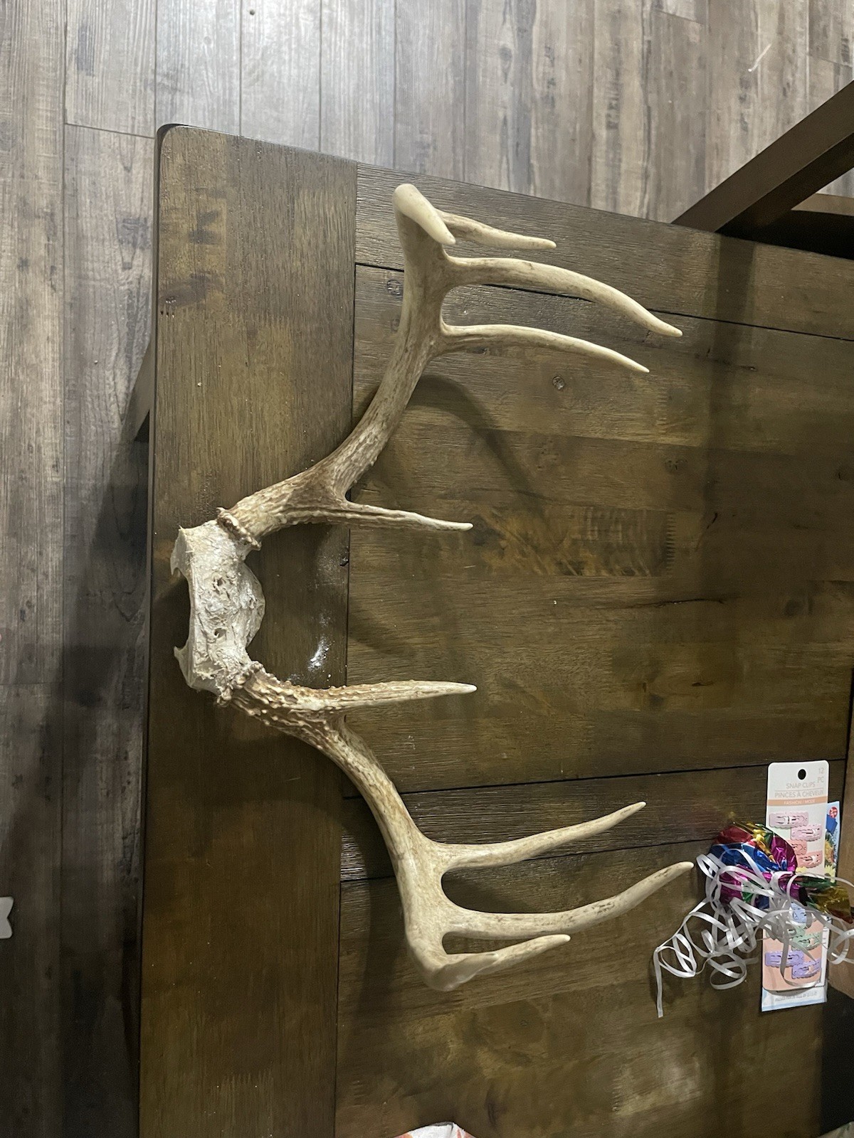 Deer Antler Skull Cap