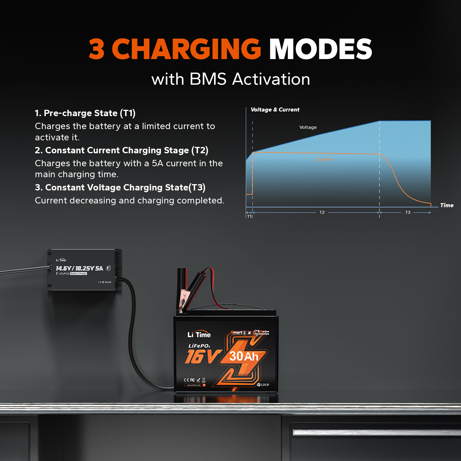 LiTime 14.6V+18.25V 5A Dual Bank Lithium Charger for 12V 16V LiFePO4 Battery
