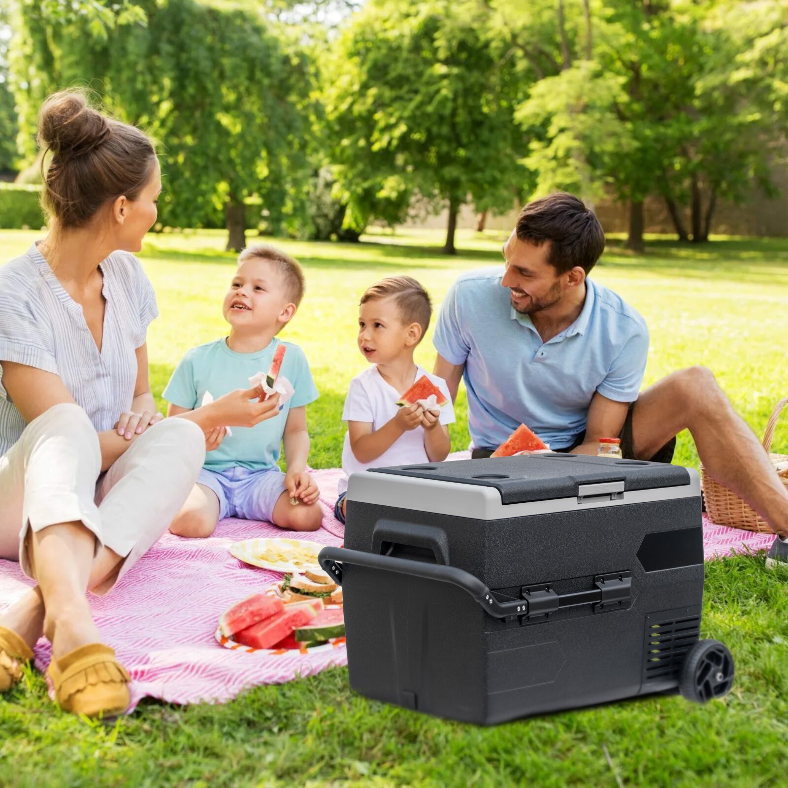 65L Portable Travel Car Refrigerator Freezer Truck Mini Fridge Camping 12V 24V