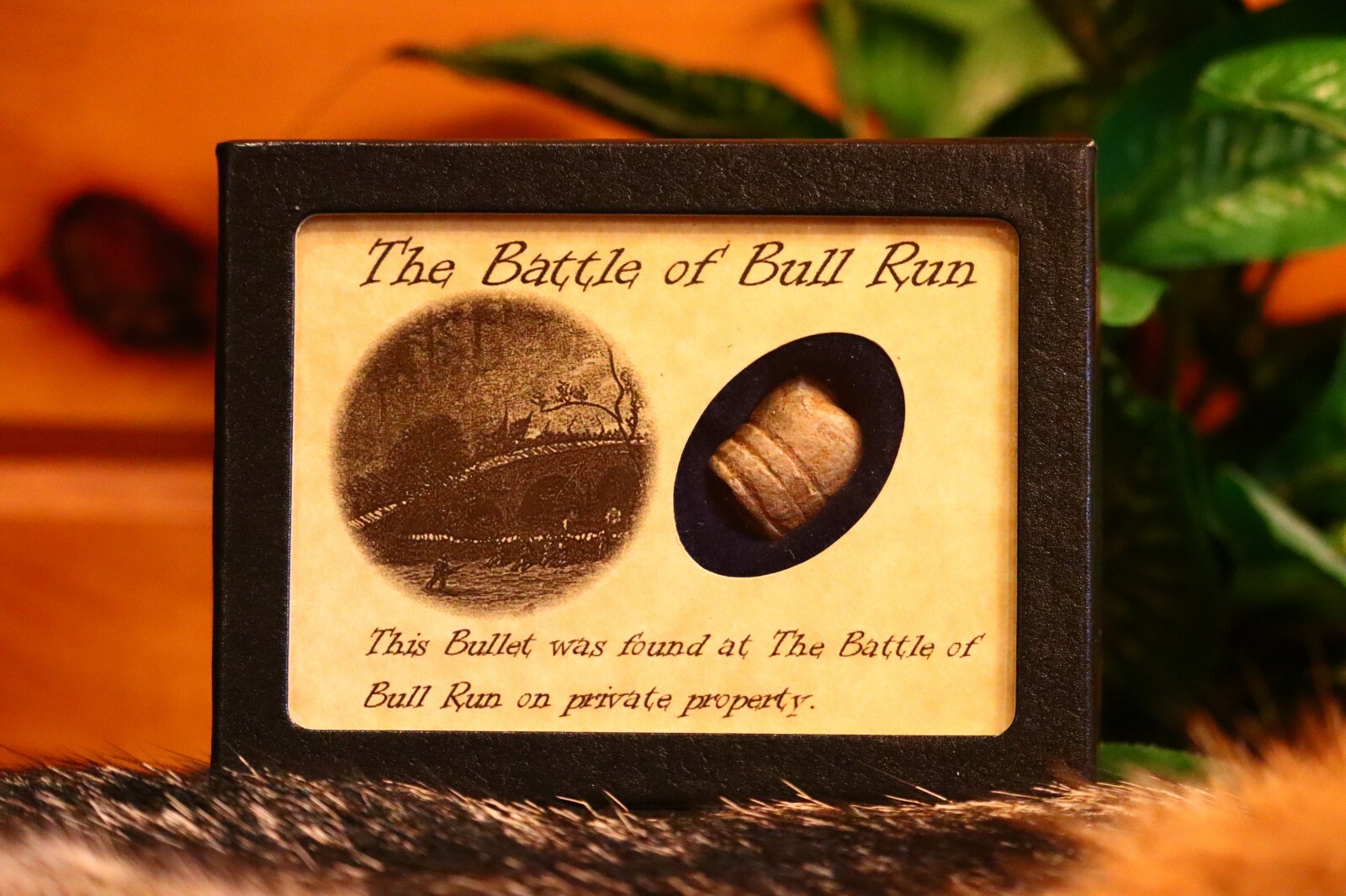 Civil War Bullet Relic from Battle of Bull Run /Manassas with Display Case & COA