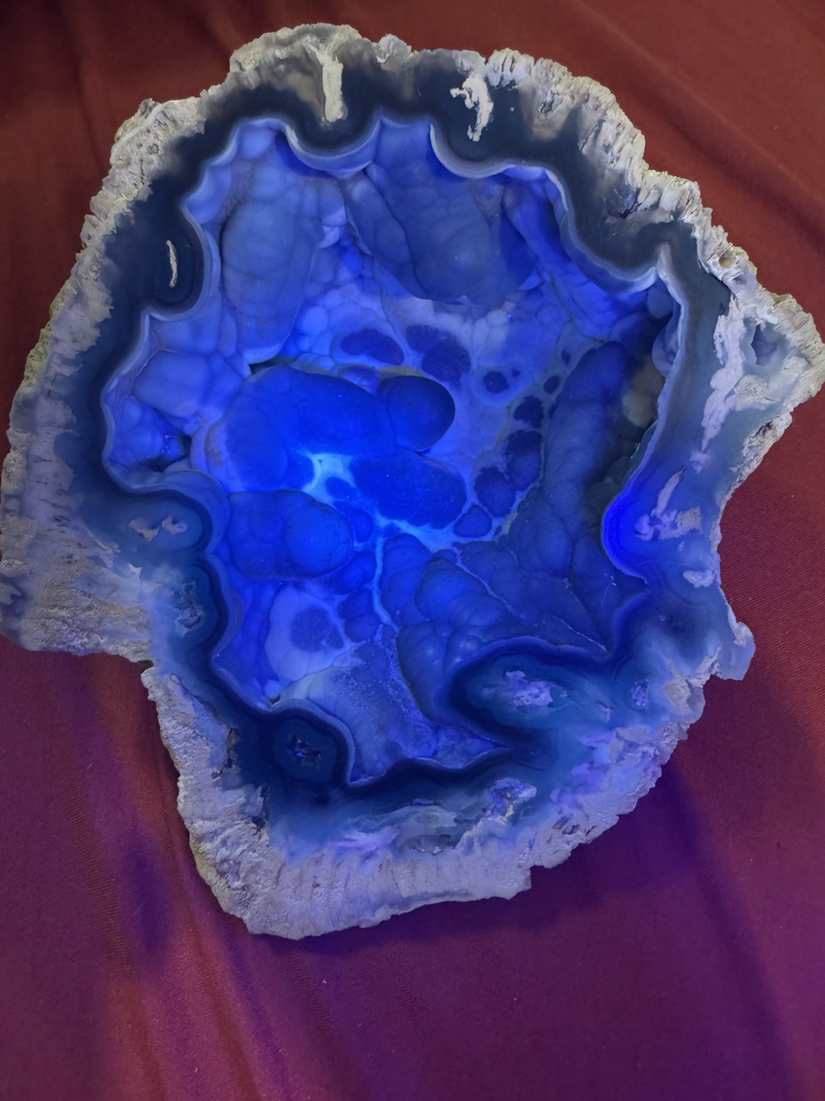 Rare Agatized Coral Fossil Geode -Large, Rare Colors!