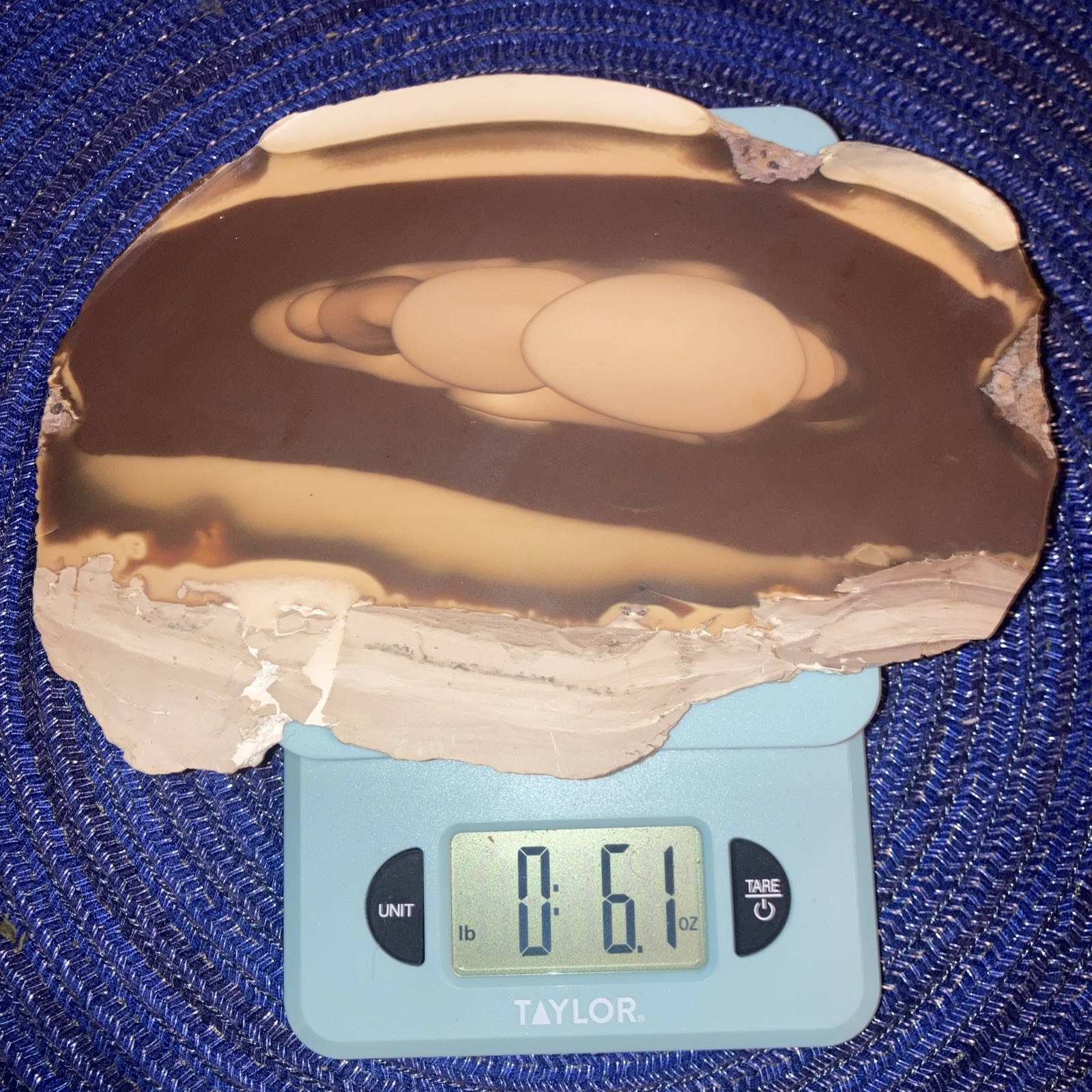 Bruneau Jasper Large Slab-Brown Tones With Cream Edges-Beautiful Orbs 6.1oz/173g