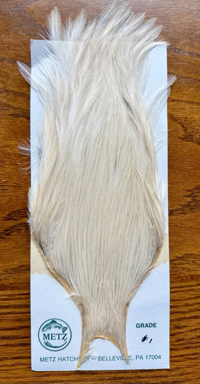 Metz Grade #1 Cape Cream 538-SH-E-L