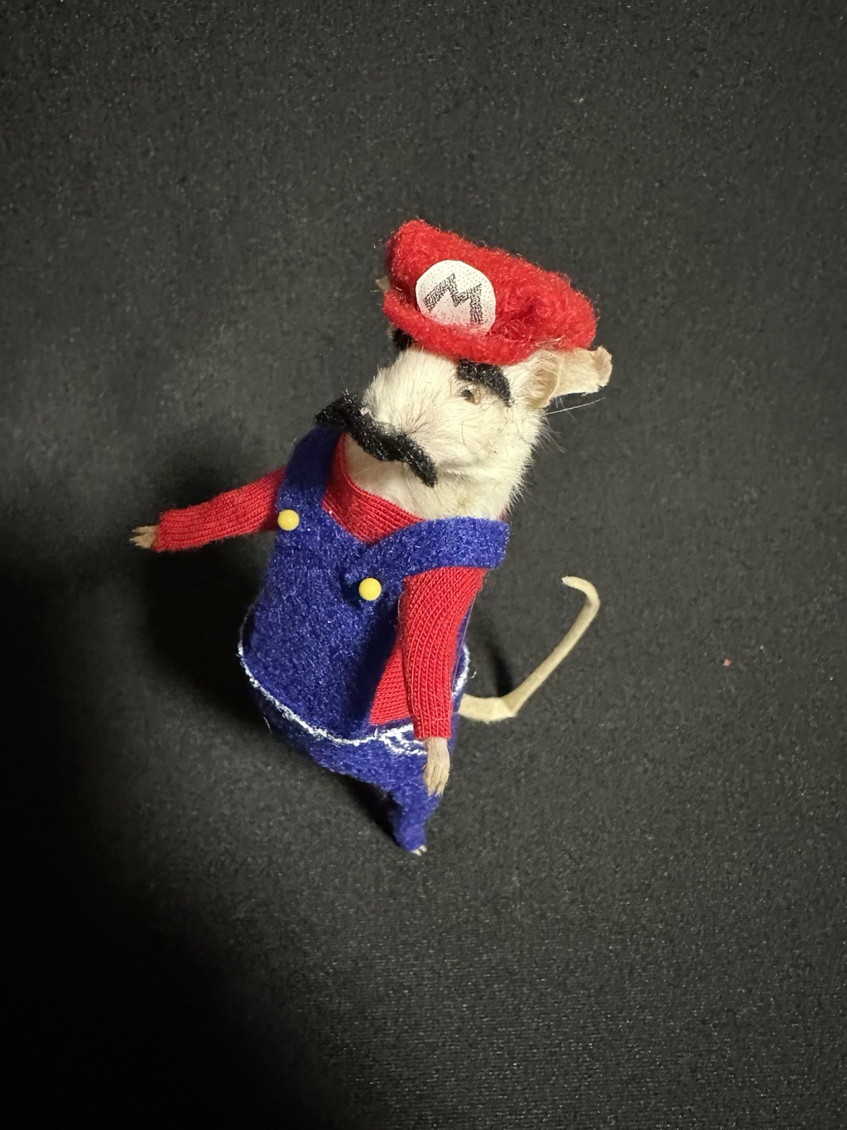 Taxidermy Mouse Super Mario Mouse Oddities Curiosities Taxidermy Art