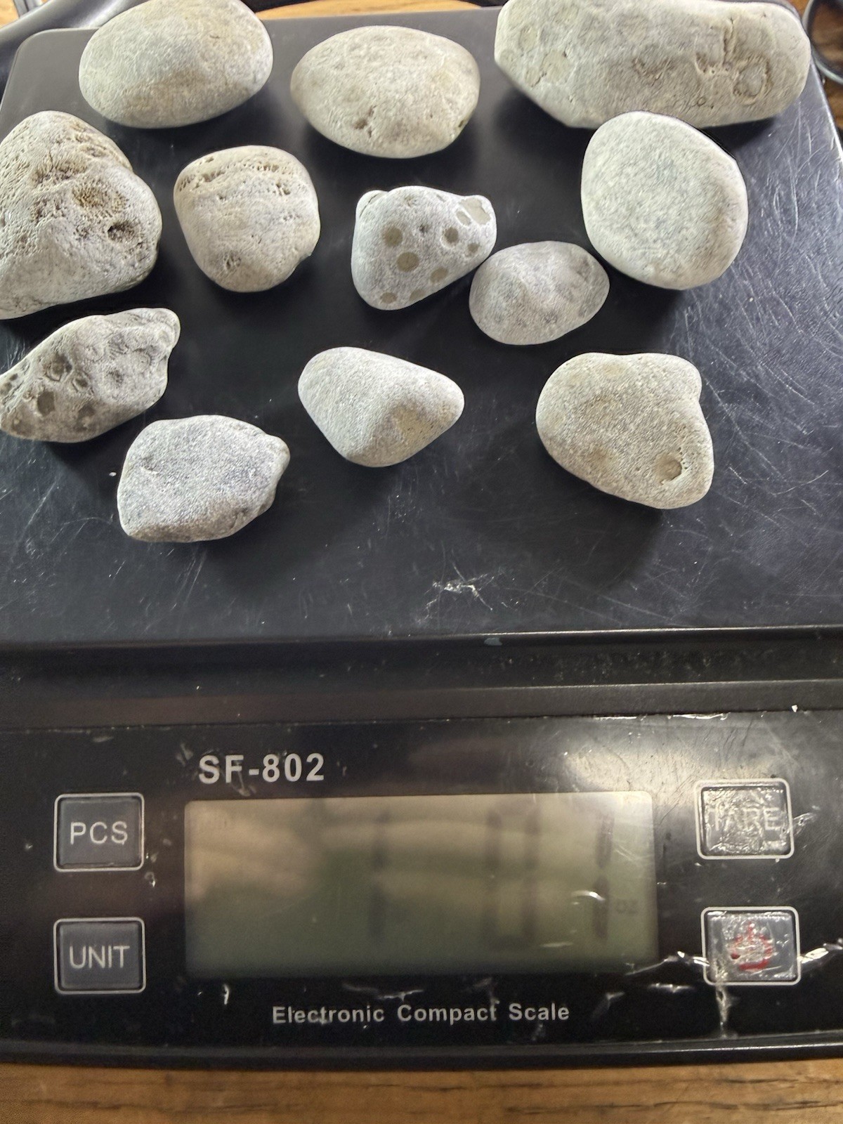 Lot 12 Petoskey Stones Unpolished 1 Lb Lake Michigan Coral Fossil Craft Jewelry