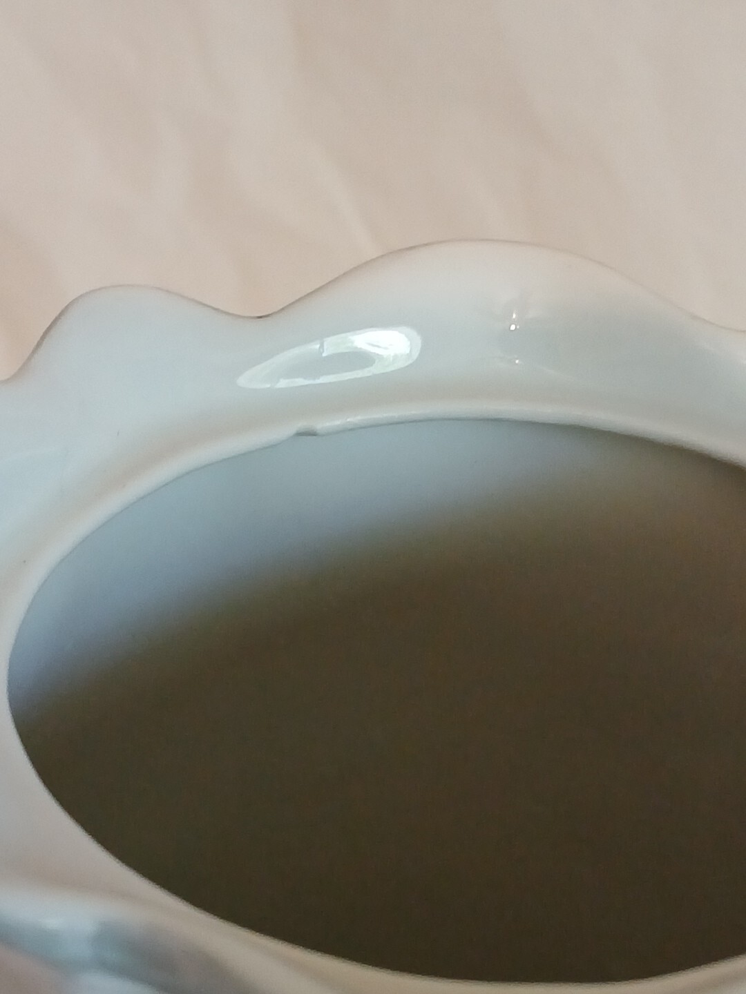 Vintage Porcelain Hand Painted Hot Chocolate Pot Germany Pink Roses 9"