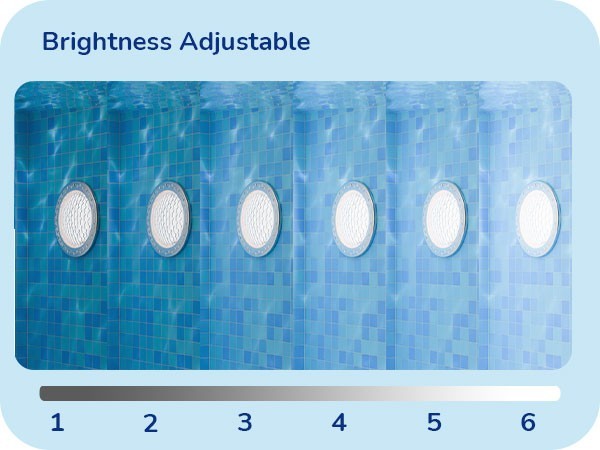 EDISHINE 12V LED Pool Lights for Inground Pool RGBW Dynamic Effects Waterproof