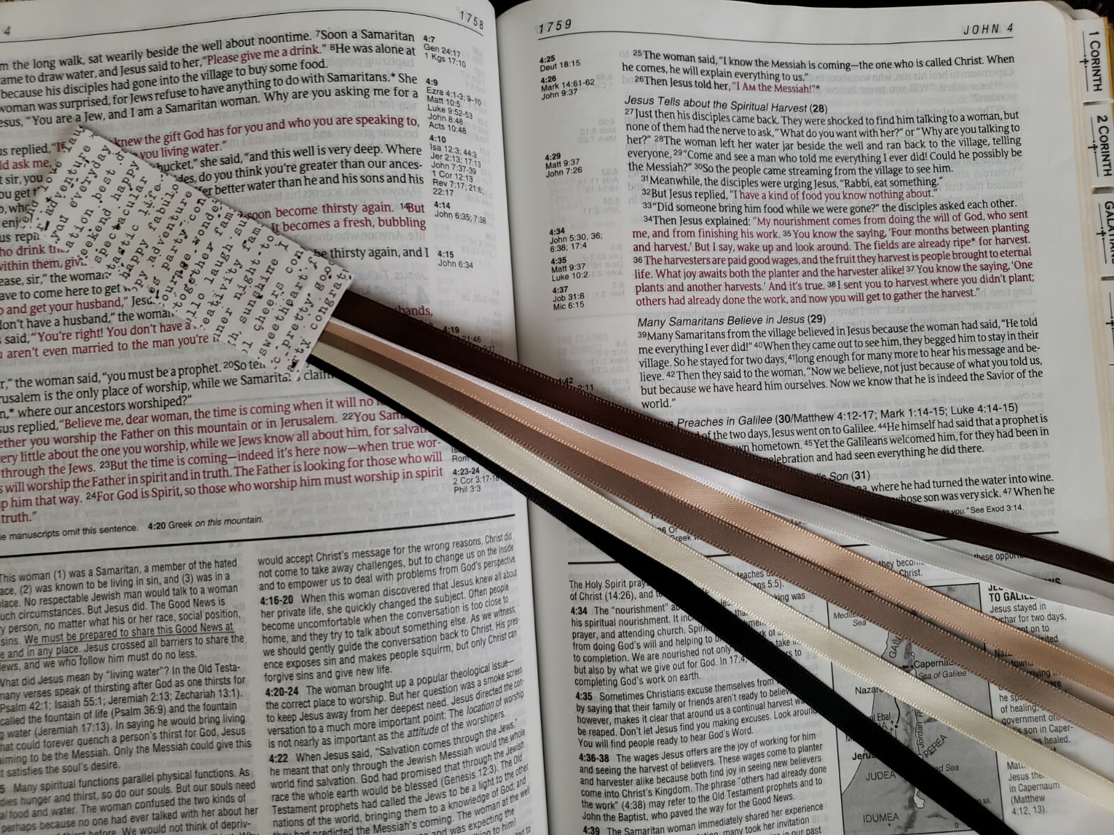 NEUTRALS bookmark ribbons, multi page book marker, Bible study, hymnal, journal