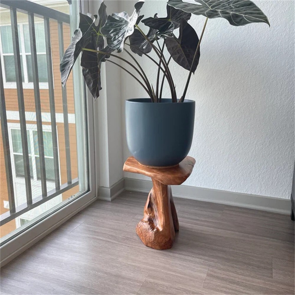 Rustic Cedar Roots Flower Stand Stool, Tree Stump Stool Side Table 19.5" H