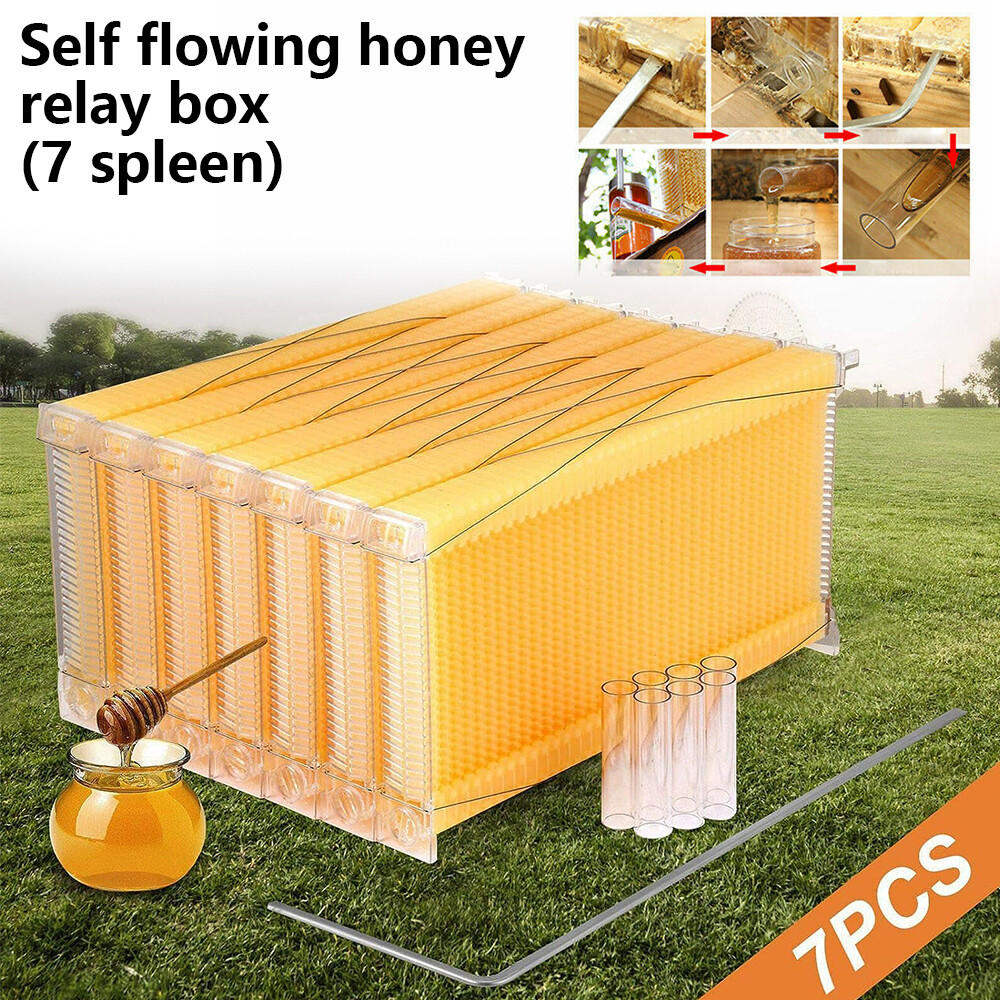 Wooden Beekeeping Beehive House Box + 7PCS Automatic Honey Bee Comb Hive Frame