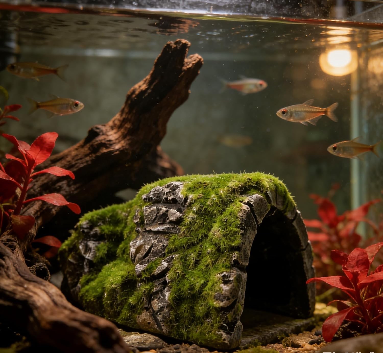 Eco-Friendly Betta Cave Fish Hideout with Lifelike Moss – Perfect for Breeding