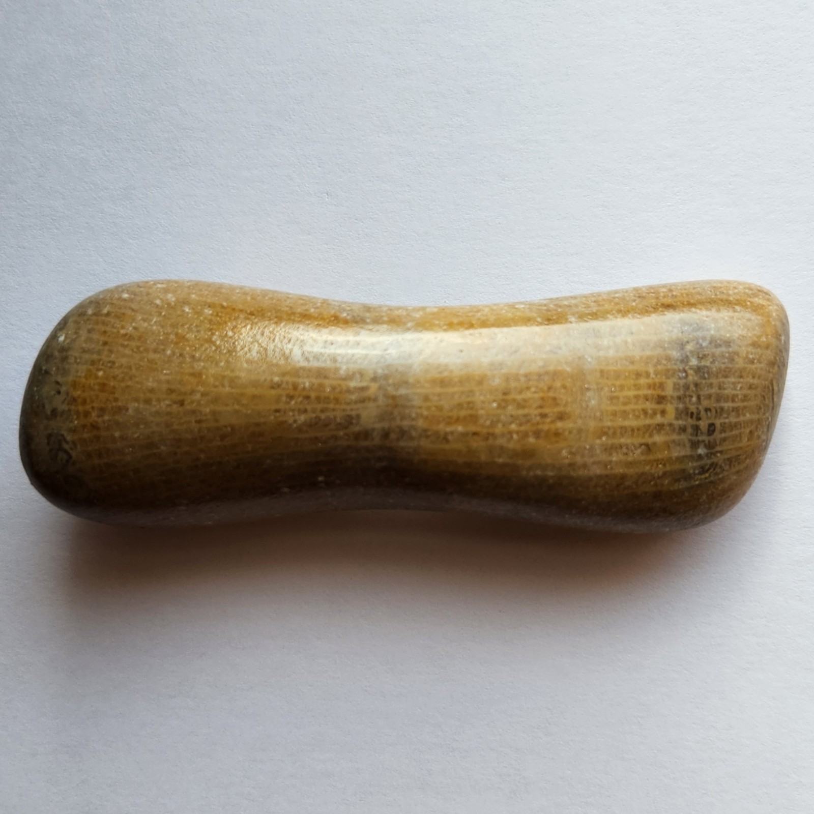 70g Awesome Tumbled Fossil Horned Coral Central Texas Pennsylvanian