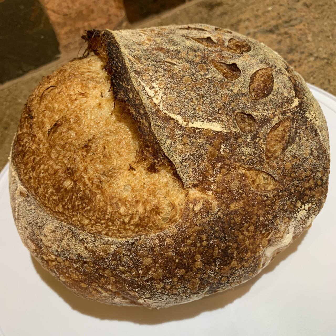 San Francisco SOURDOUGH STARTER WELL OVER 220 YRS OLD VERY STRONG VERY SOUR