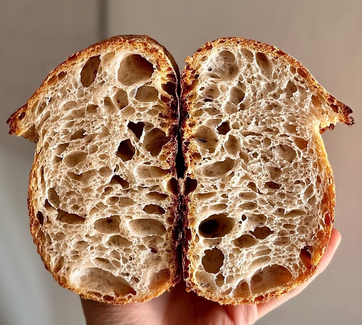 1000 year old ITALY Sourdough Starter - Camaldoli Monastery | Organic Dehydrated