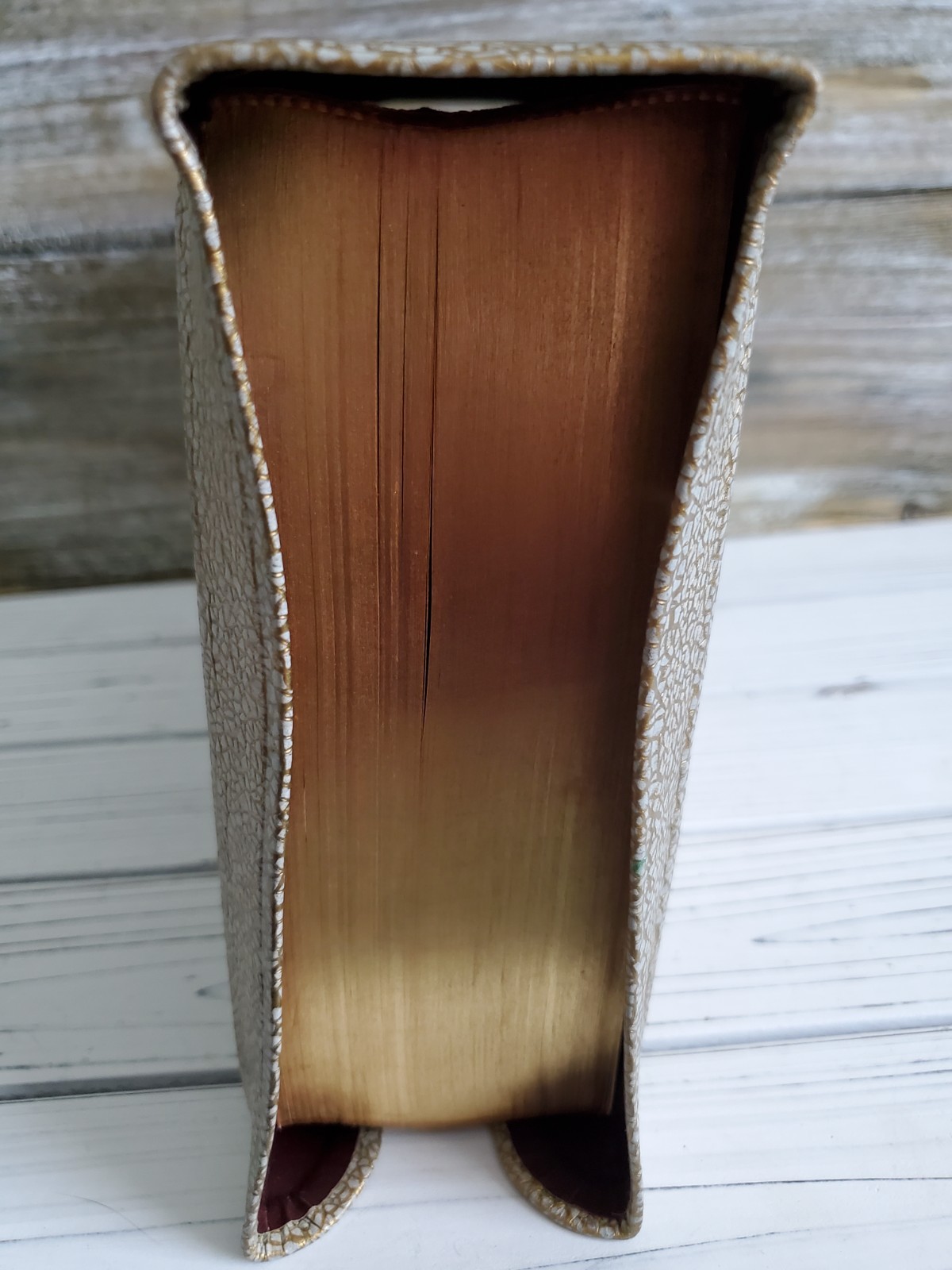 VTG Holy Bible Douay-Challoner & Confraternity Text 1951 White Illustrat Book