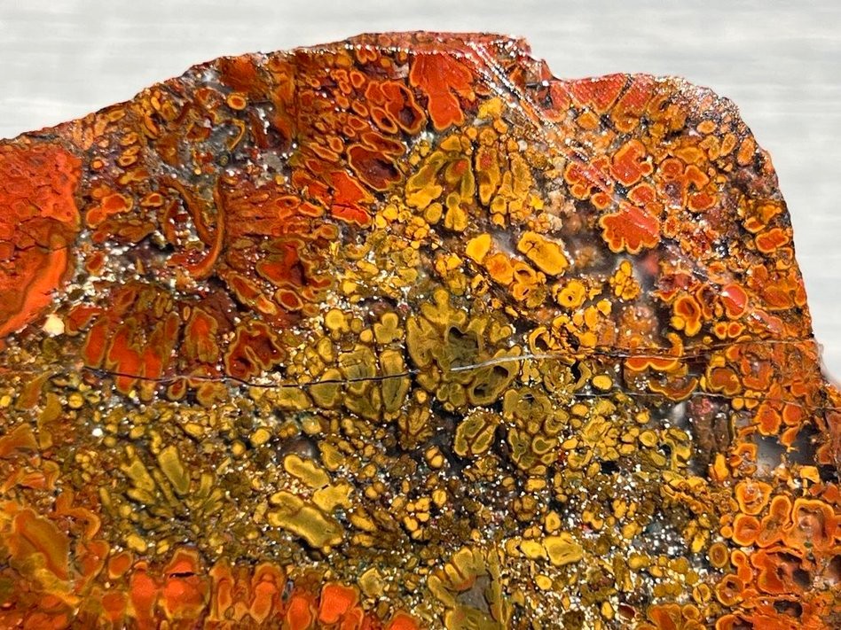 East Java Plume Agate - Indonesia 3.75"x3" High Grade Lapidary Rough Slab