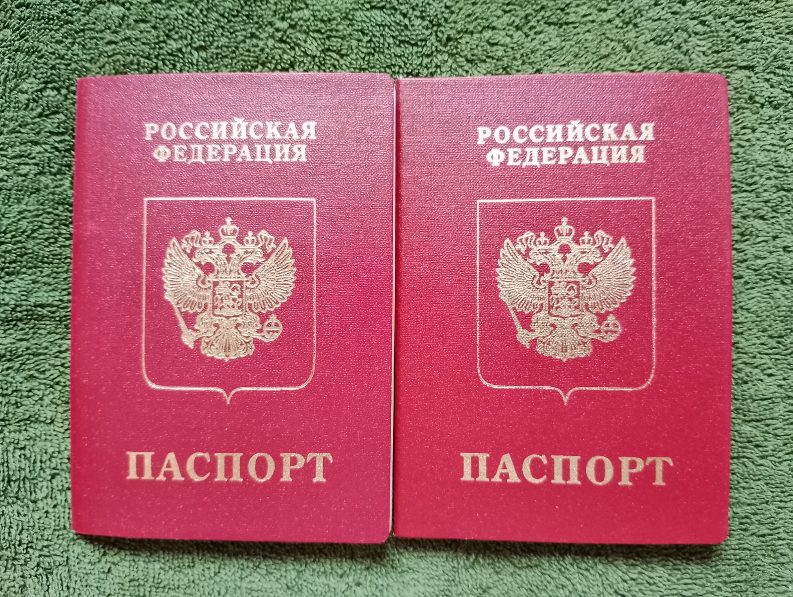 Two foreign travel passports belonging to a female Russian citizen.