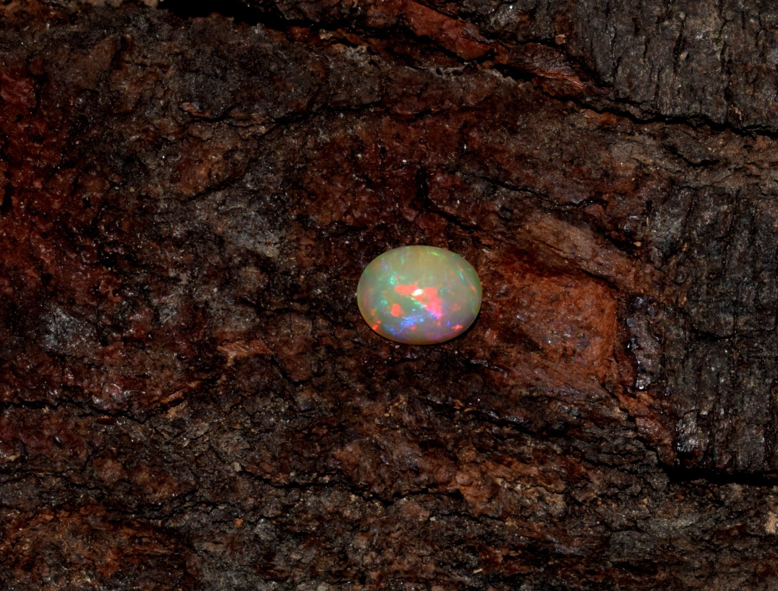 Natural Ethiopian Wello Fire Opal Cabochon Loose Gemstone 6X8mm A23