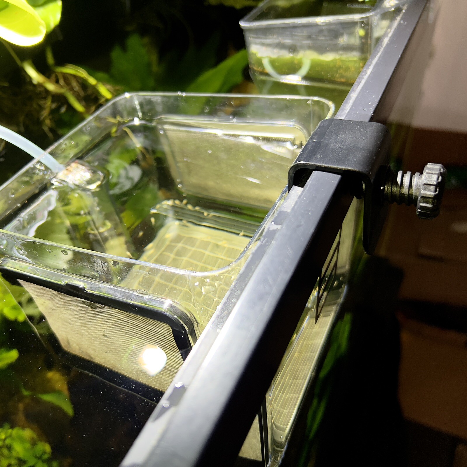 Fish Breeder Box Hatchery/Livebearer Hang-On Rimmed or Rimless Tank - FREE SHIP!