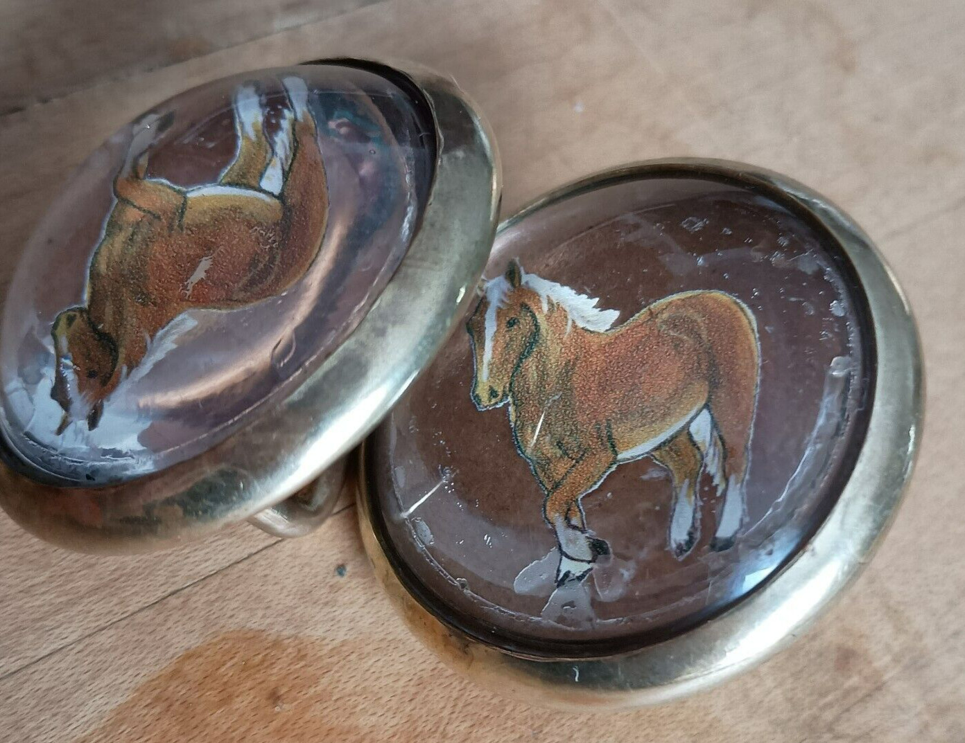 Bridle Loop Rosettes Haflinger for Headstall Harness Glass Dome and Brass