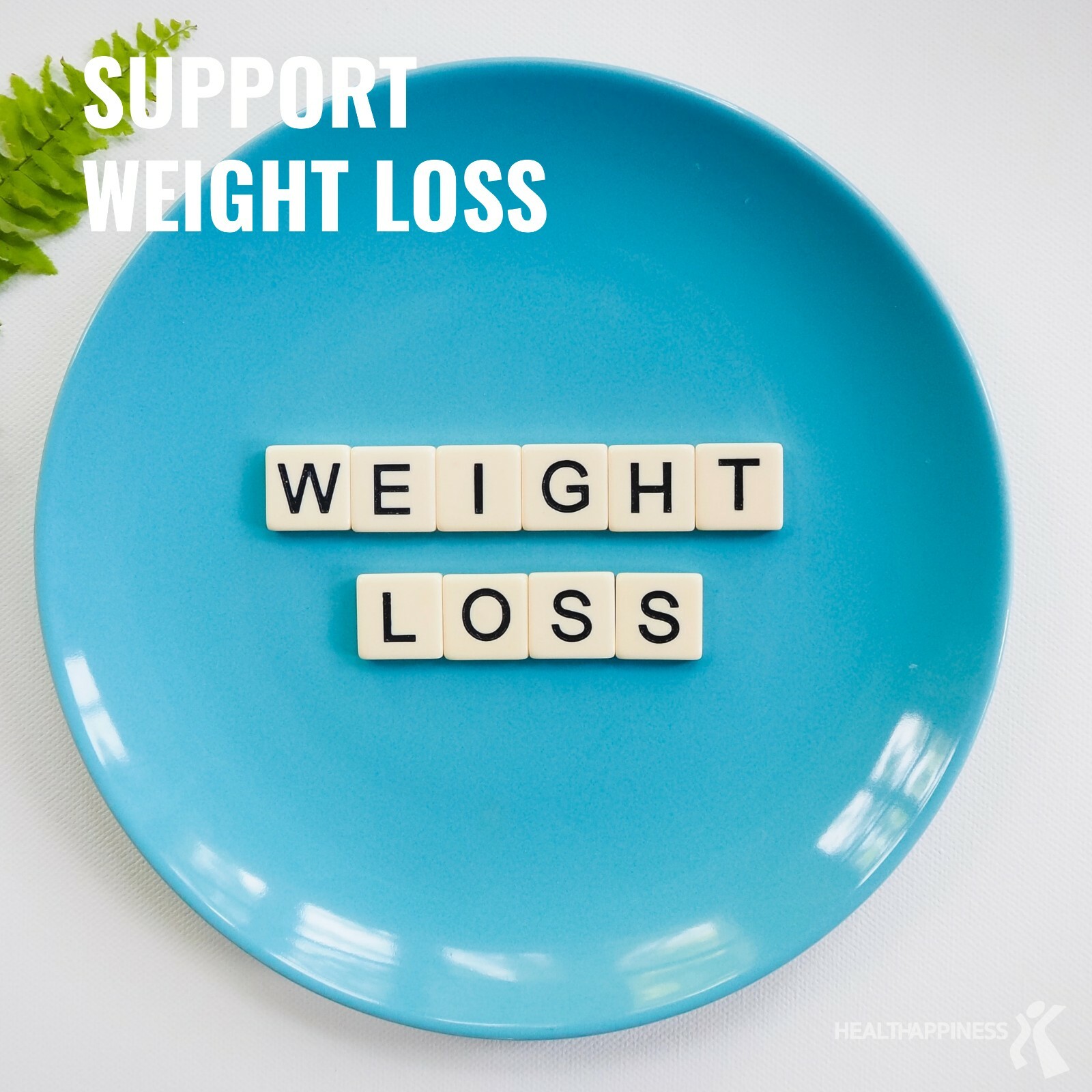 Vegan Plant Based Complete Protein Meal Replacement Shake Chocolate Gluten Free