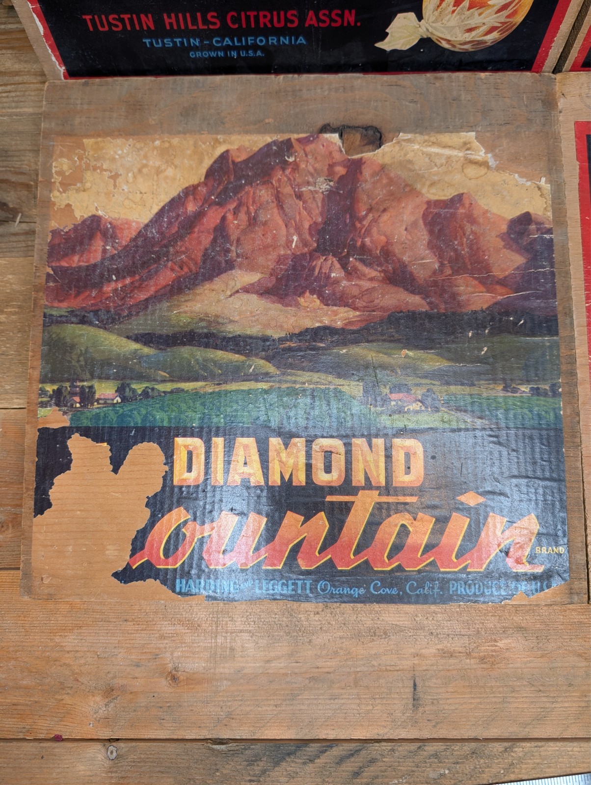 Original 1940s "Diamond Mountain" citrus label Harding & Leggett CA Vintage