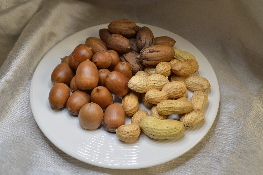 2 LBS Nutty Wildlife Feed Mix with Utah Acorn, Utah Pecan, Peanut In Shell Nuts