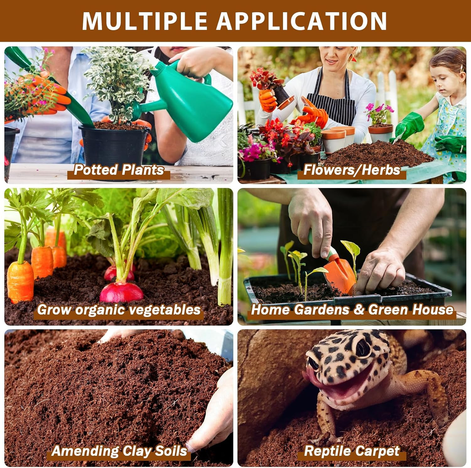 Legigo Pack of 10 Organic Coco Coir Bricks- 100% Natural Compressed Coco Peat Br