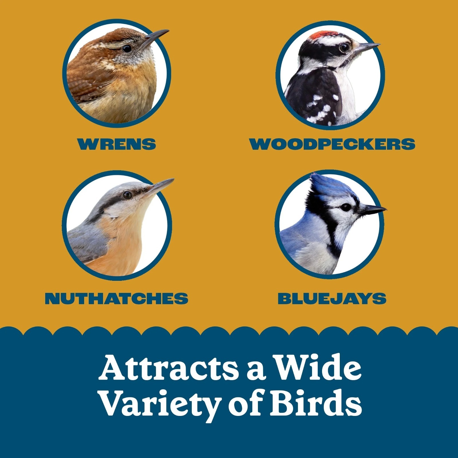 Peanut Delight Suet, 11.75 oz. Cake, Wild Bird Food, 8 Count each, 2 Pack