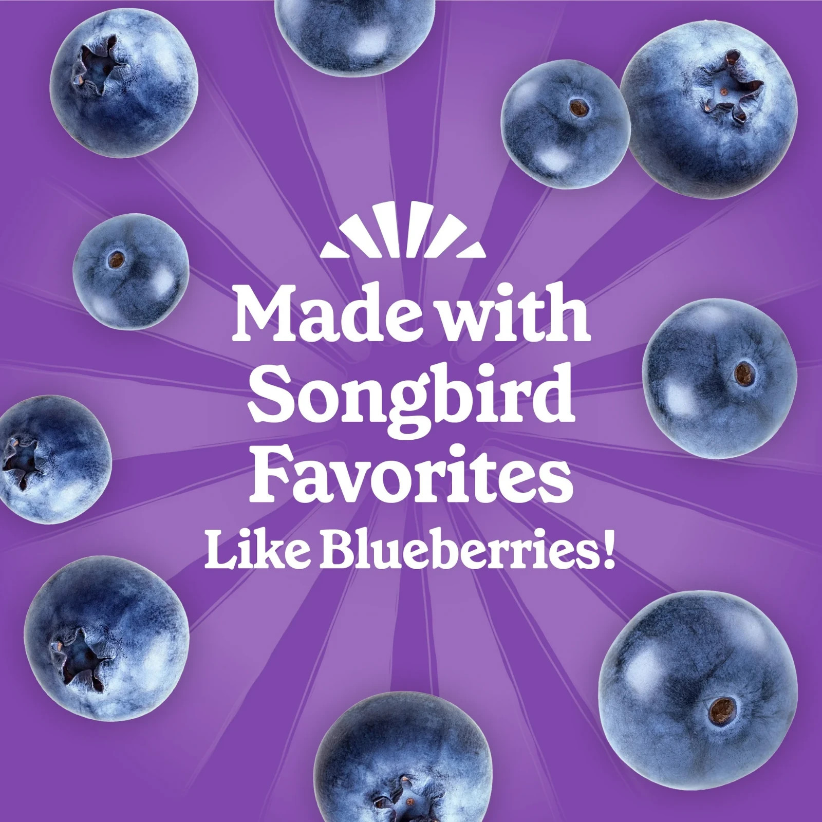 Pennington Fresh Wild Bird Suet - 8 Pack 11.75oz,Feeding Frenzy Berry Treat Cake