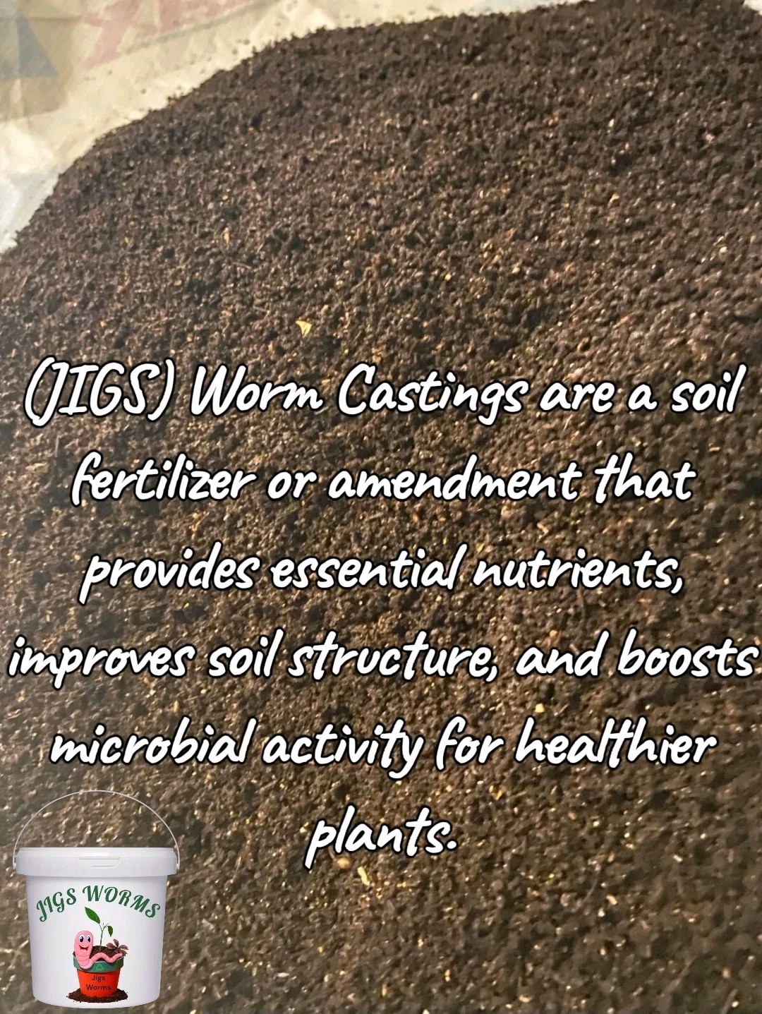 (JIGS) Live #1 Red Wigglers Composting Worm Mix, FREE SHIPPING! No Manure!