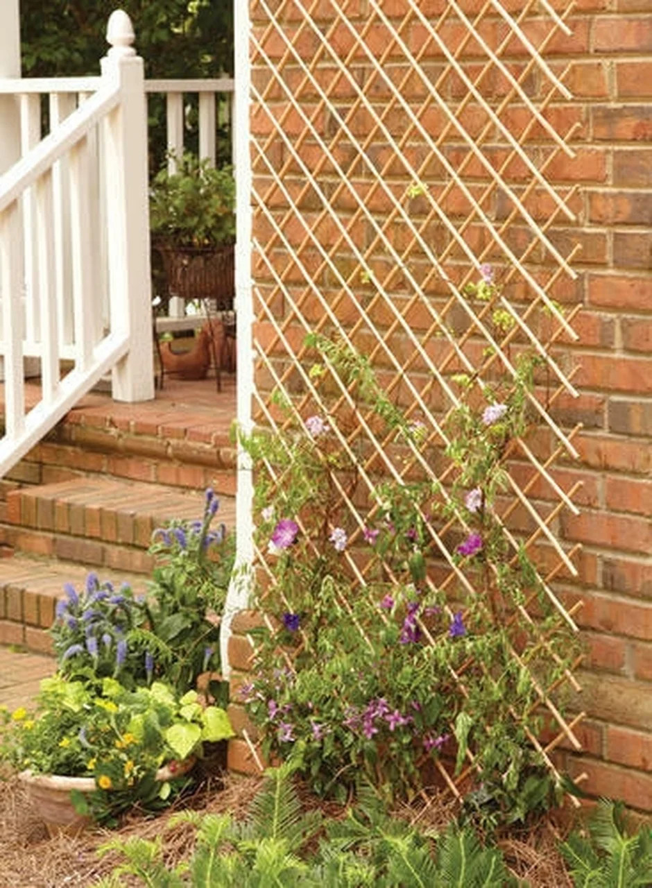 Backyard X-Scapes 72" L x 32" H x 0.5" D Peeled Willow Wood Trellis Plant