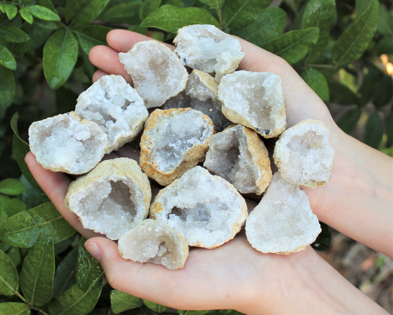 Break Your Own Geodes Gift Box (8 - 12 pcs) Large Unopened Moroccan Crystals