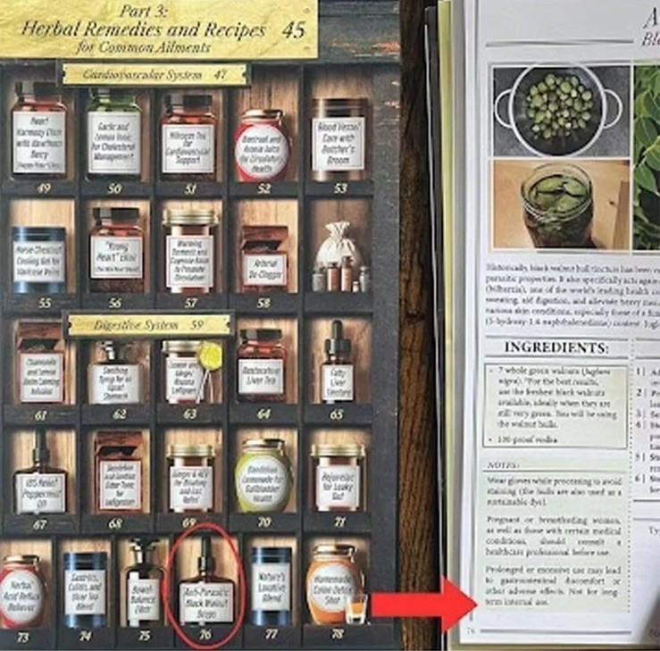 Forgotten Hom- Apσthecary:250-Powerful Remedies By Nicole Apelian=PhD