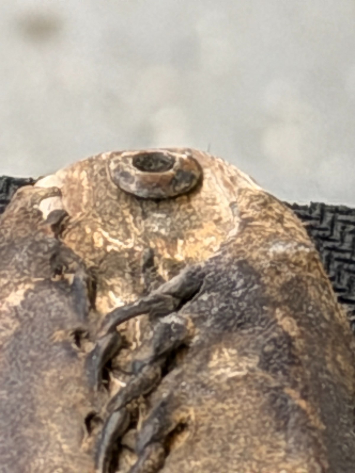 Vintage U.S. Bayonet – S.A. Springfield Armory 1917 – Collectible- Wood Handle