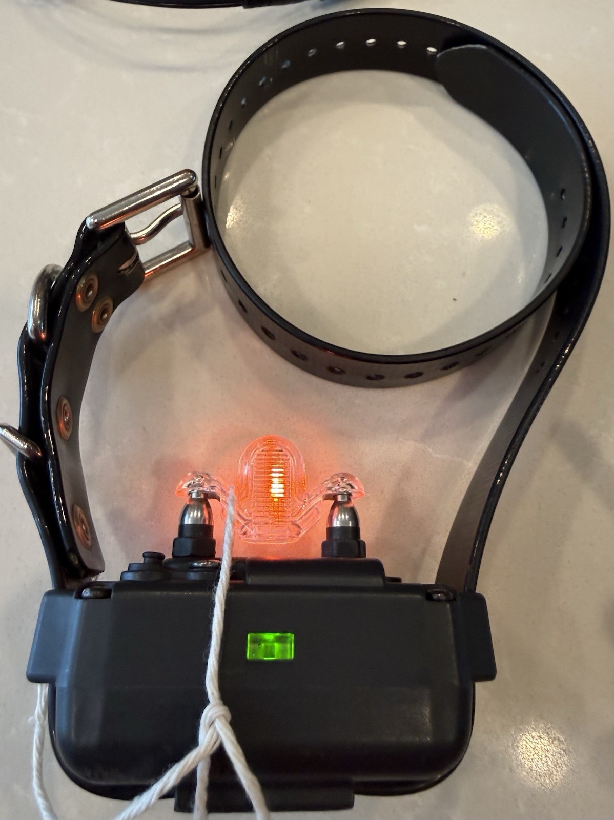 Dogtra 1900NCP Field Star, Remote Controlled Dog Training Collar, NEW BATTERIES