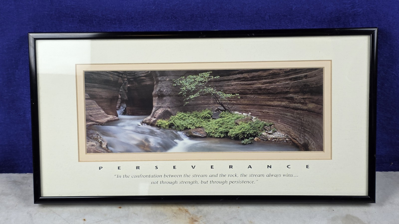 "PERSEVERANCE" Professional Framed Artwork - DECOR